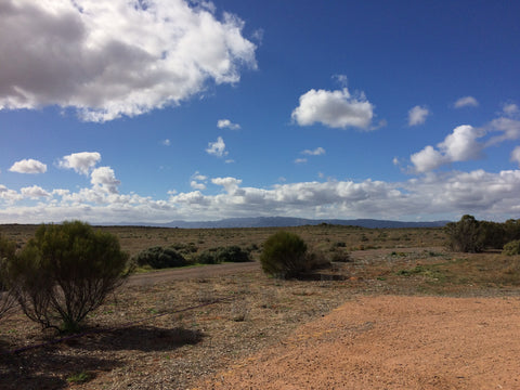 Flinders Ranges Kimberley Opal
