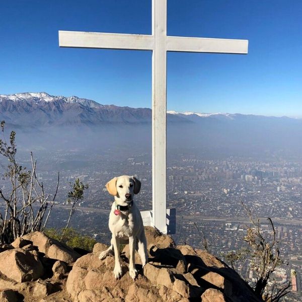 trekking con perros en hundshop