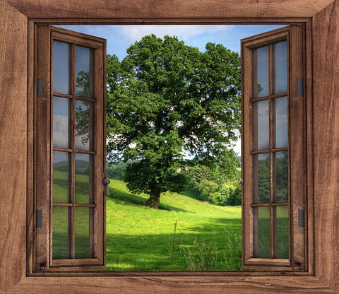Open Window Nature