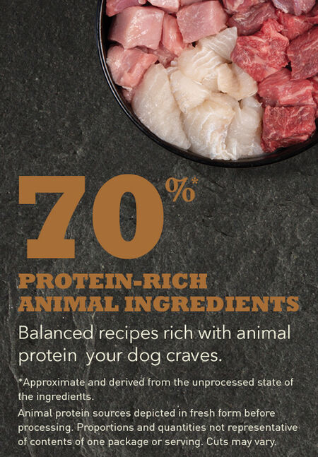 Acana Regionals Appalachian Ranch Dog Food