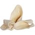 products/500C01-Cow-Ears-Raw-Product-Pile-May-2017-RGB72dpi.png