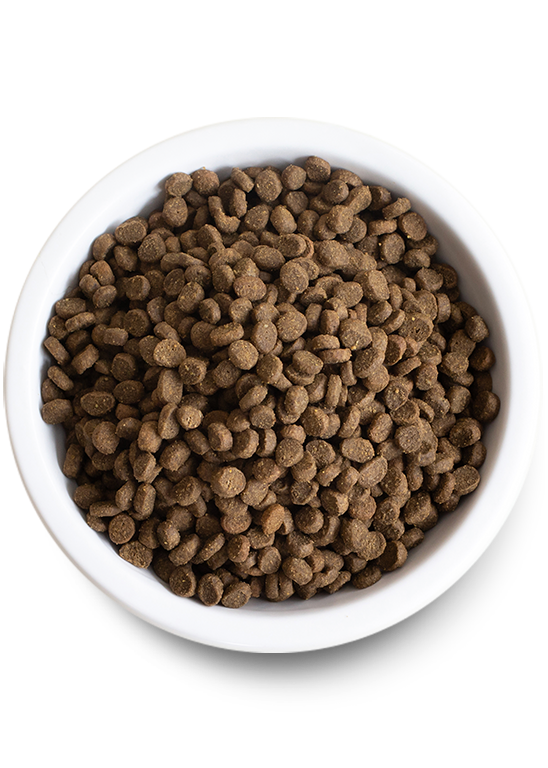 Open Farm Kitten Grain-Free Dry Cat Food