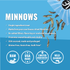 products/VE-Minnows-Ad-Dog-Lifestyle-Web-04.png