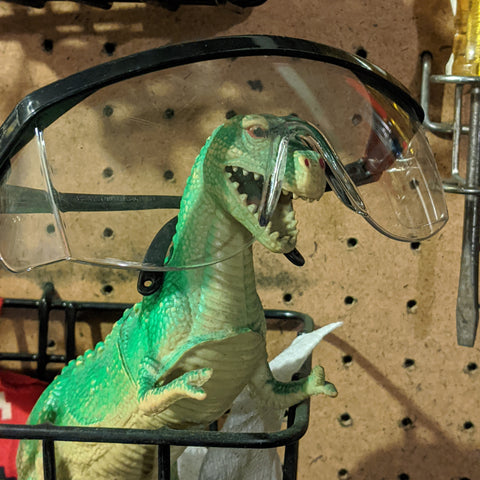 Safe-T-Rex says play it safe.