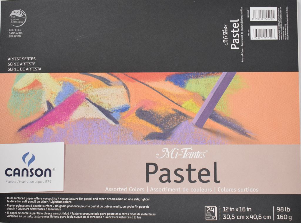 24 Blatt Erdtöne Canson Mi-Teintes Pastellpapierblock 22,9 x 30,5 cm