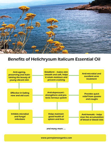 Helichrysum benefits