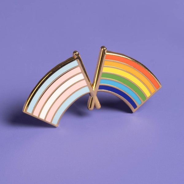 Trans And Lgbtq Pride Flag Combo Pin Dissent Pins 3037
