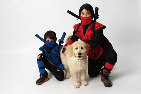 Ninjas and Honey