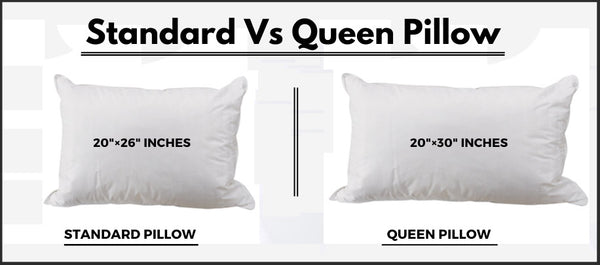 Standard Vs Queen Pillow