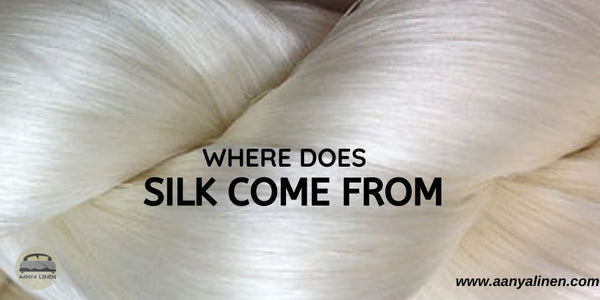 Where does Silk Come From