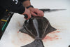 Halibut Fish Alaska 