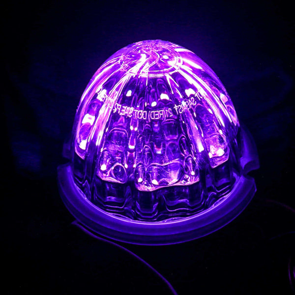 Purple watermelon lights