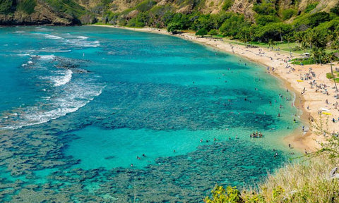 Hanauma bay Hawaii Oahu snorkel dive 