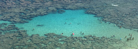 Hanauma bay snorkel dive reef coral