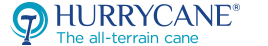 hurrycane logo