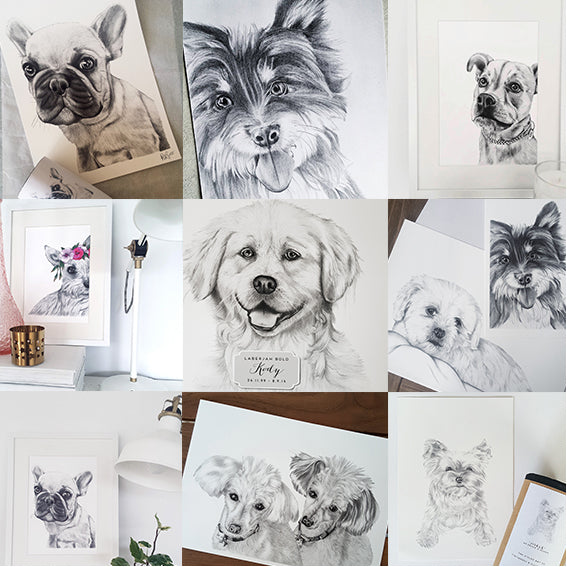 Pet Portrait Gallery