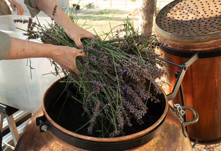 filling the still