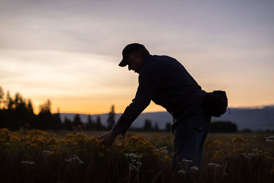 sustainable farming practices