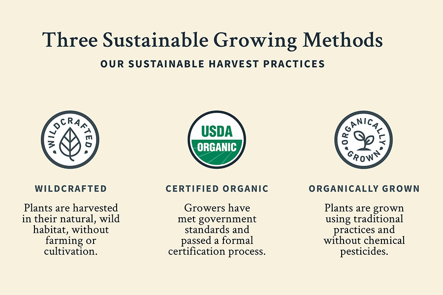 Three sustainable growing methods