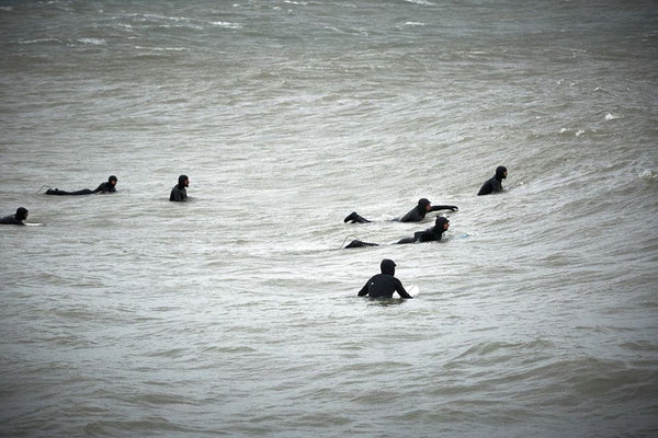 February surf on Lake Ontario can be crowded. Photo by Seed9.