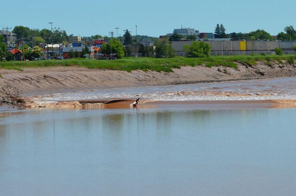 You can surf anywhere in Canada - Geoff Ortiz on the tidal bore. Photo by Katie Ortiz.