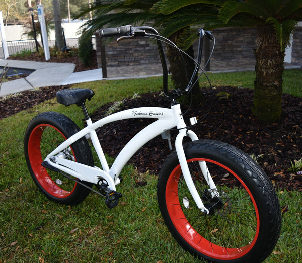 custom fat tire beach cruiser