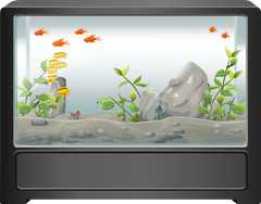 Acrylic Aquarium Kit Maintenance