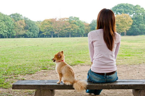 A park bench with a friend who doesn't talk too much is also a good way to practice the art of doing nothing. (Photo: takayuki/Shutterstock)