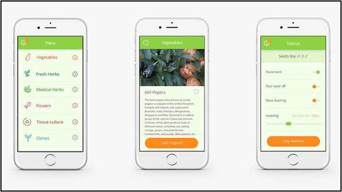  The Seedo app allows for quick and easy management of your grow programs. Just select a plant, place the seeds in the grow tray, and walk away. The machine will take care of the rest until harvest. (Photo: Seedo)
