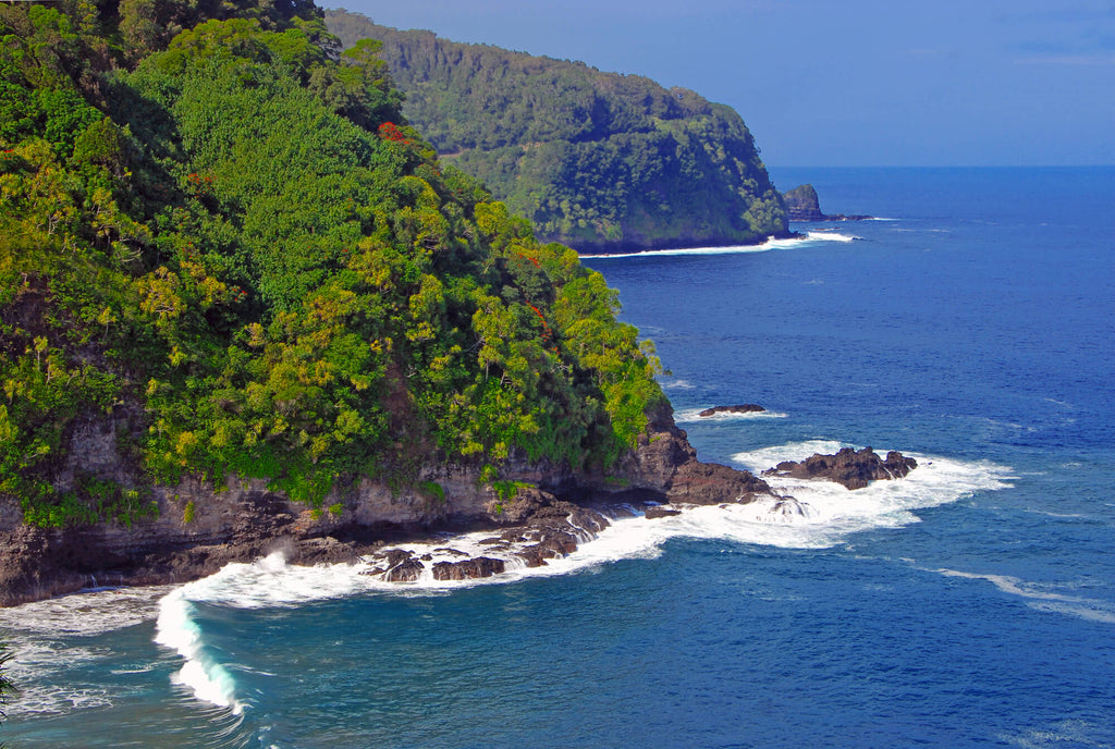 Kona Coffee Cultural Festival