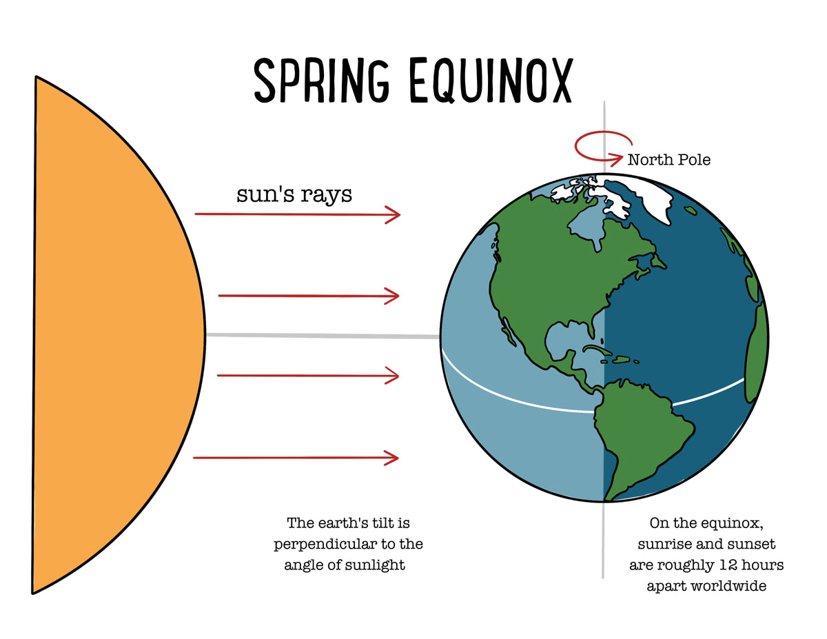 Spring Equinox A Digital Curriculum of Curiosity Tanglewood Hollow