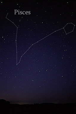 The Pisces star constellation in the night sky | Pisces zodiac facts by Happy Piranha