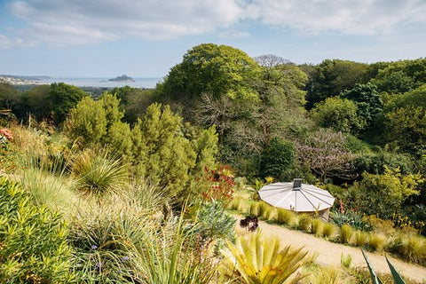 Tremenheere Sculpture Gardens, Cornwall