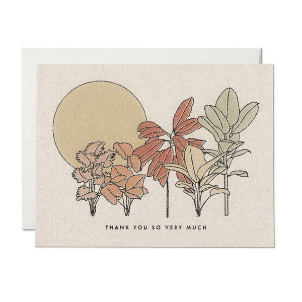 Desert Plants - Thank You Card