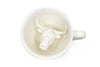 Texas (Longhorn)