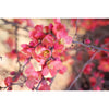 Spring Welcome Two