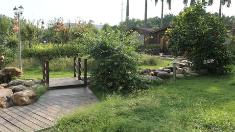 Garden and FERRON's factory employees' canteen