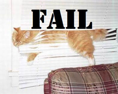 cat can't escape -MissMeowni.com