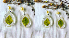 Load image into Gallery viewer, Handmade Real Flower Earrings
