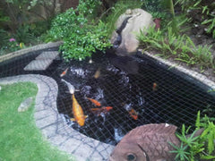yamakoshi koi pond food