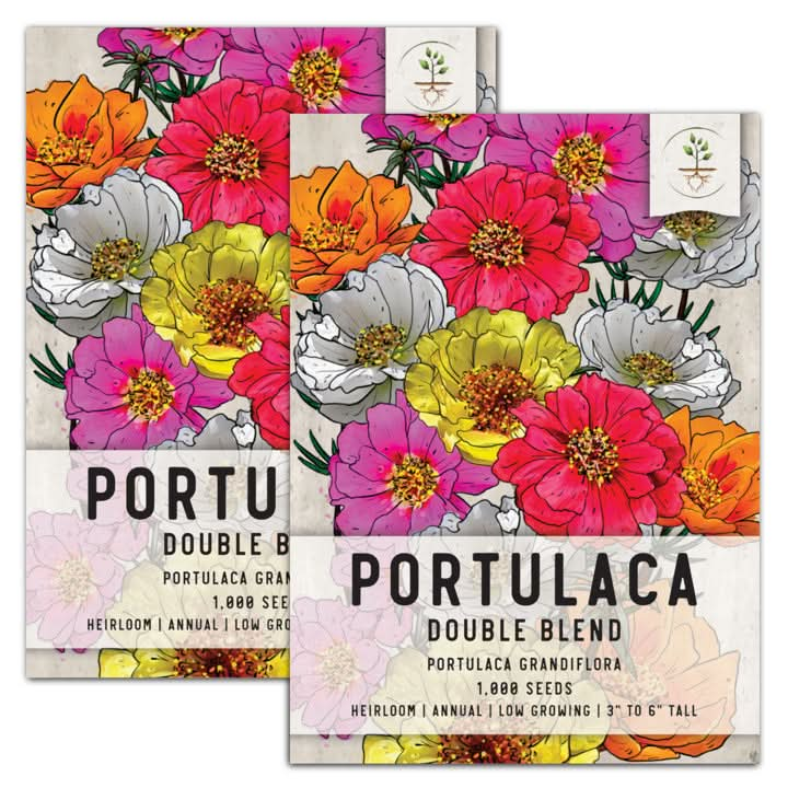 Zinnia Cut Flower Seed Packet Collection - Seed Needs – Seed Needs LLC