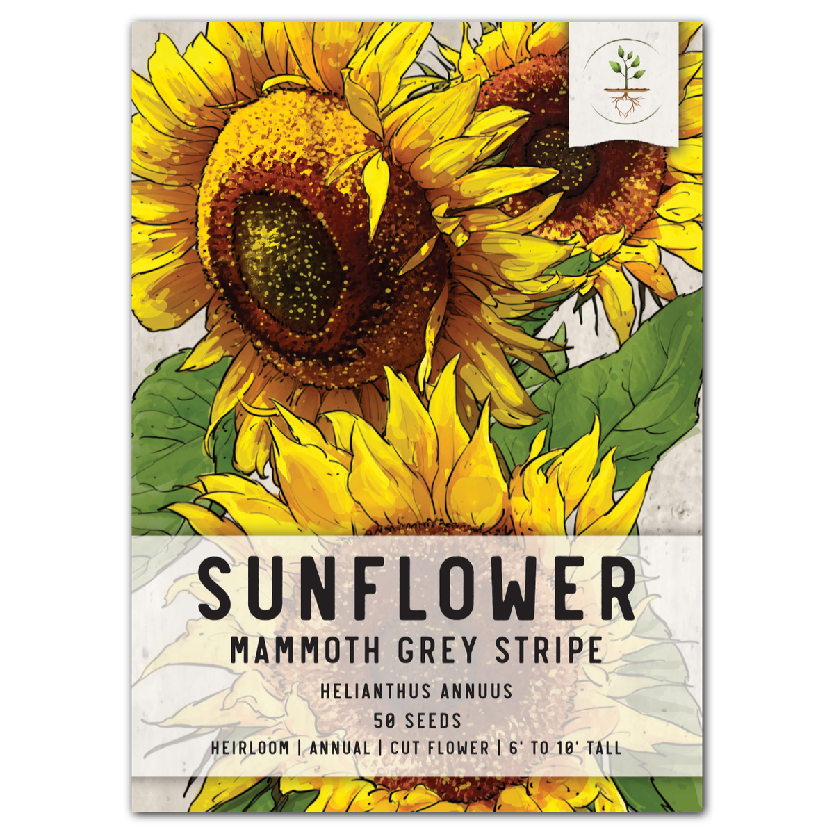 52 Graines Helianthus annuus Giant sunflower Sunflower Mammoth Grey Stripe seed 