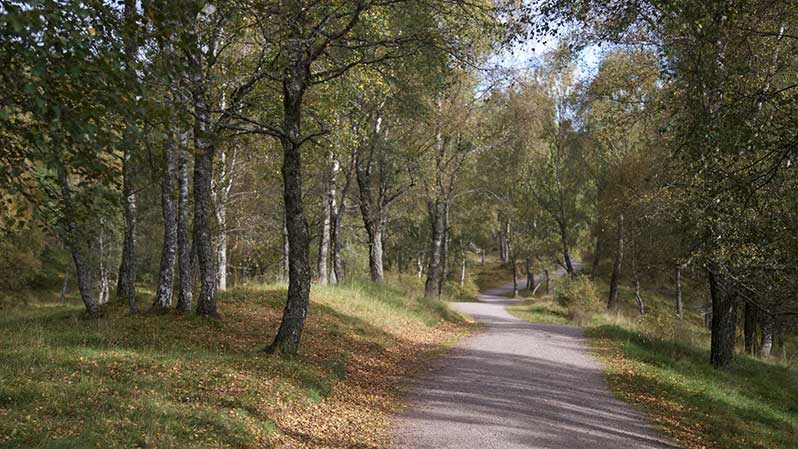 Scotland Walking Experiences