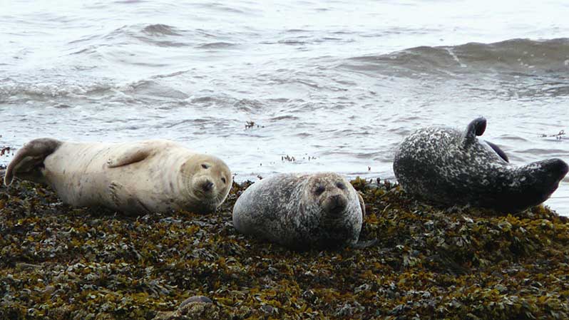 Scotland Walking Experiences