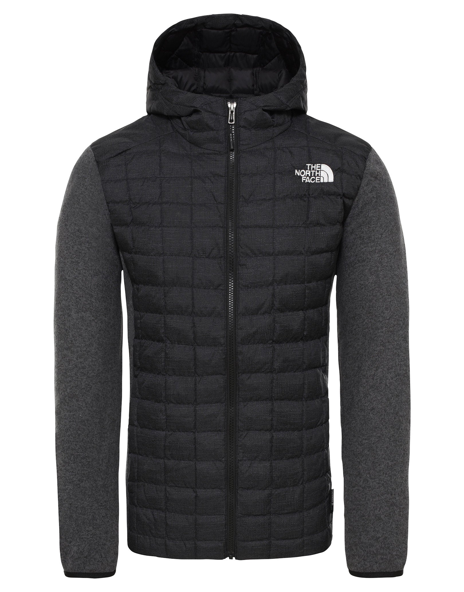 north face gordon lyons hoodie