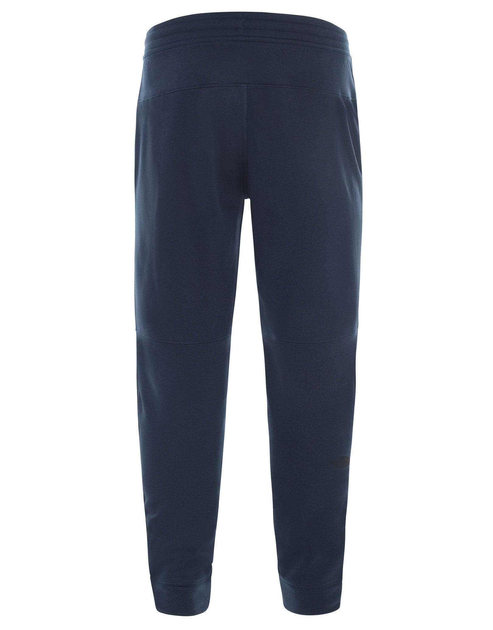 north face surgent pants