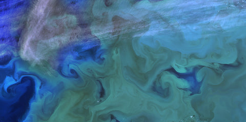 Bering Sea Satellite image - Earth's Aquarium