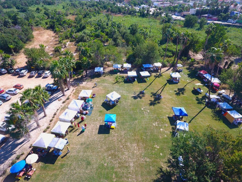 stalls at the San Jose del Cabo Organic Market