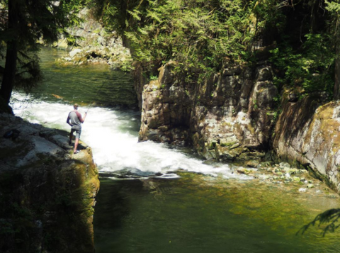 Capilano Regional Park 