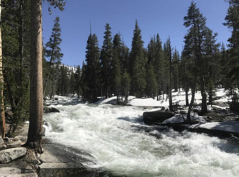 Bear Creek Raging in the Sierra 